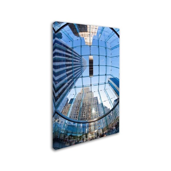 Robert Harding Picture Library 'Glass Ceiling 2' Canvas Art,16x24